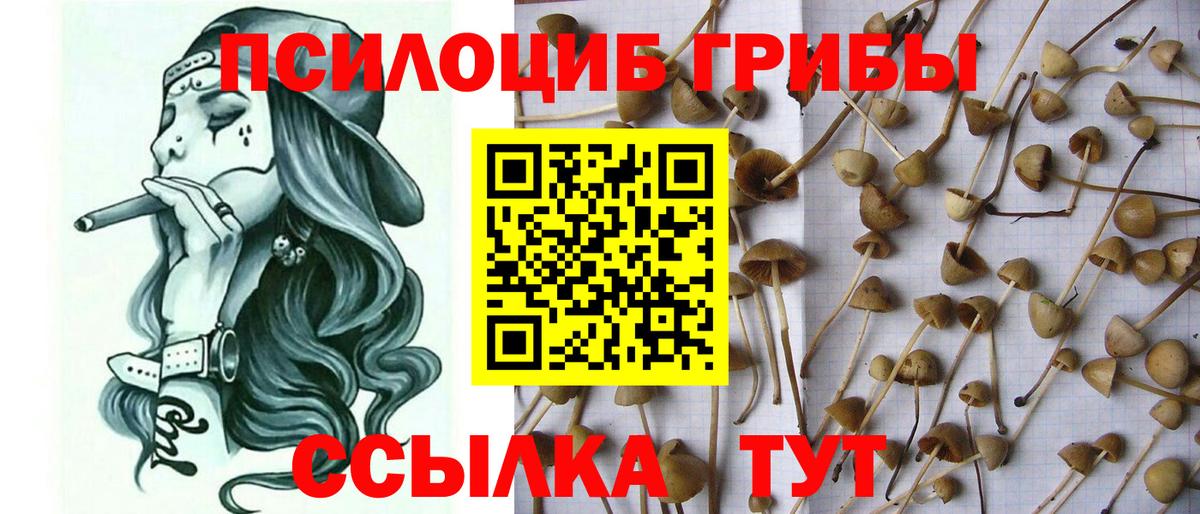 Галлюциногенные грибы ЛСД Советская Гавань