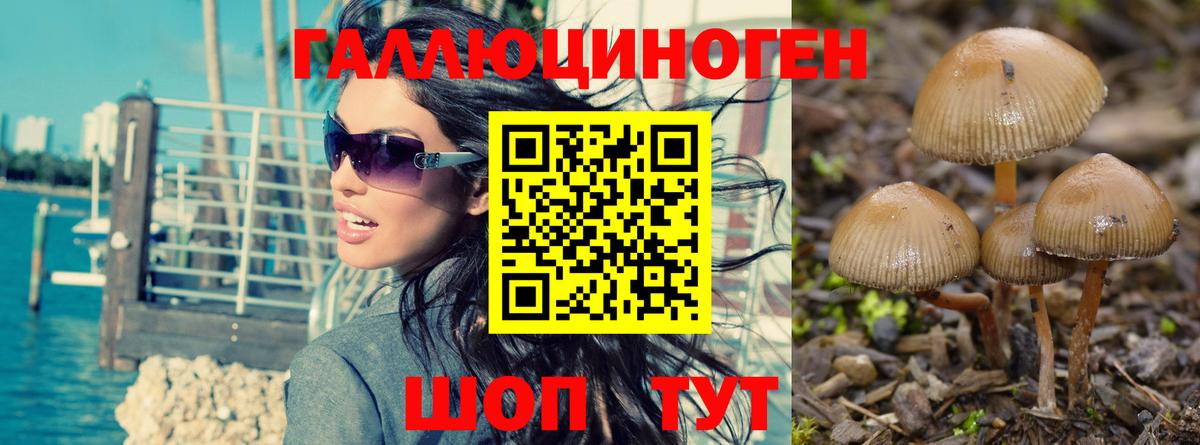 Советская Гавань  Галлюциногенные грибы Magic Shrooms  Вход с VPN  Псилоцибиновые грибы Cubensis 